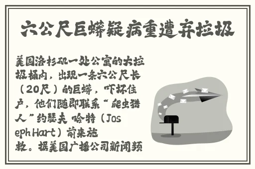 我不小心怀了儿子心理咨询